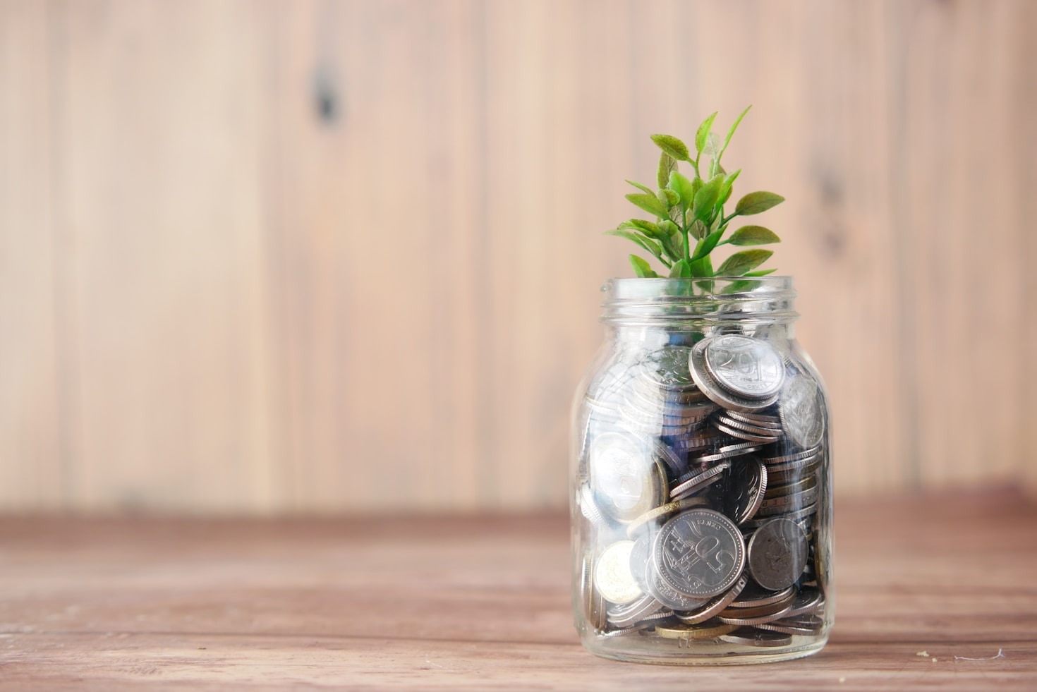 Success Stories: Transforming Properties into Profits